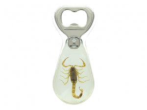 Scorpion Bottle Opener