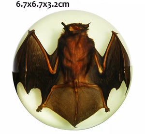 Brown Bat Paperweight