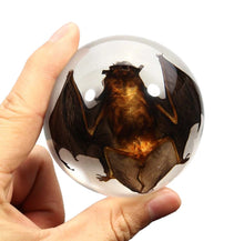 Load image into Gallery viewer, Brown Bat Paperweight
