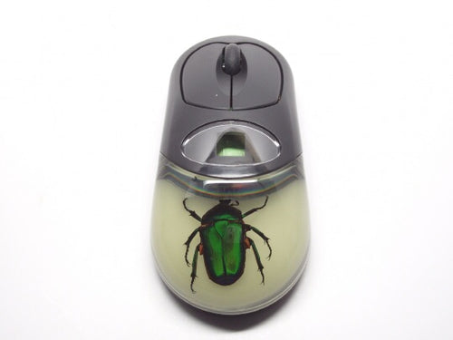Cordless Computer Mouse Unicorn Green Rose Chafer Glow
